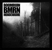 Boomruin/BMRN Boomruin/BMRN